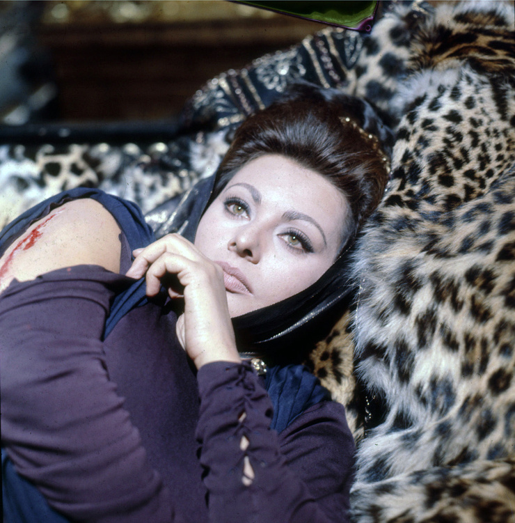 Sophia Loren