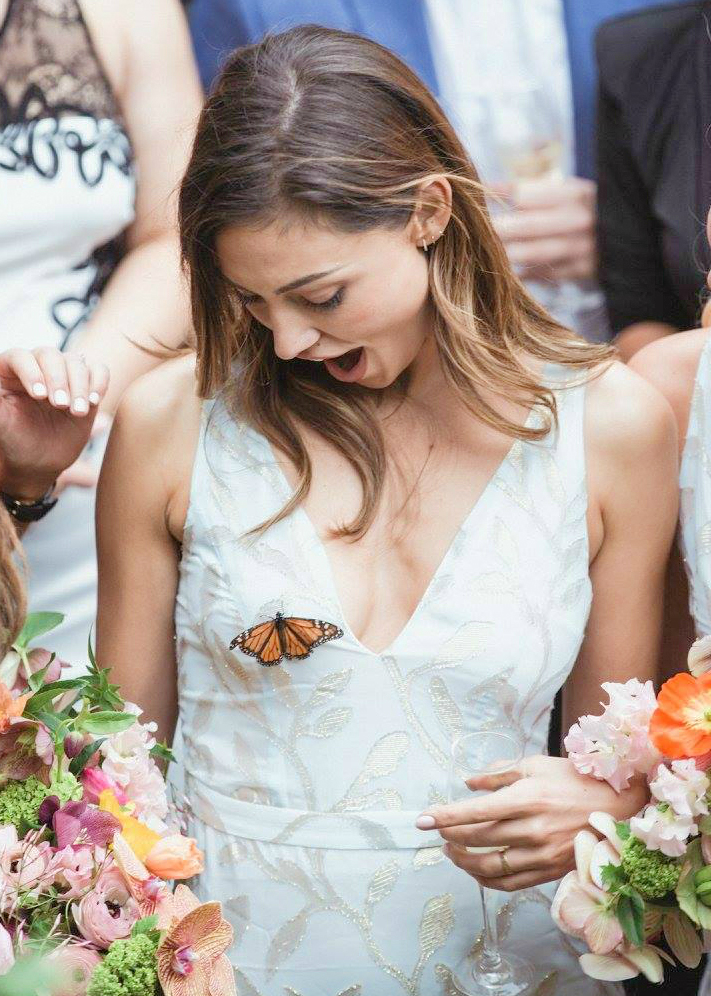 Phoebe Tonkin Phoebe Tonkin