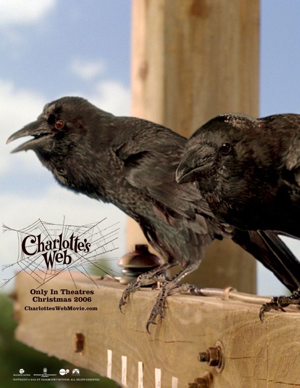 Charlotte's Web