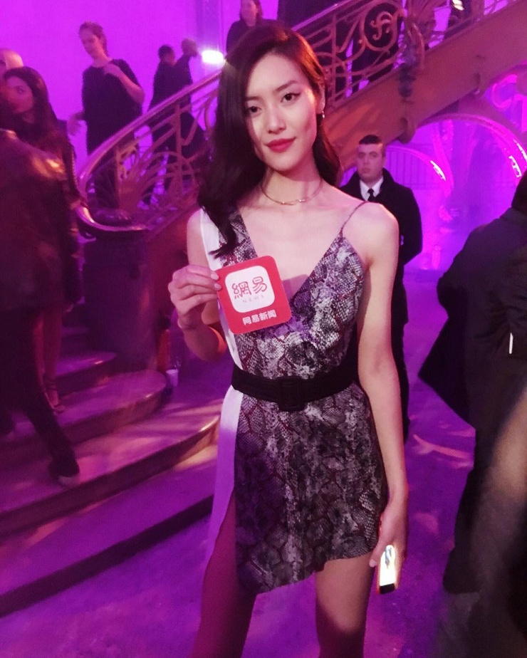 Liu Wen