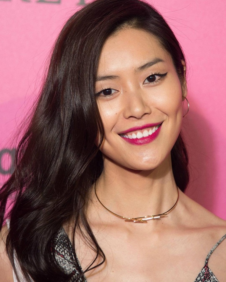 Liu Wen