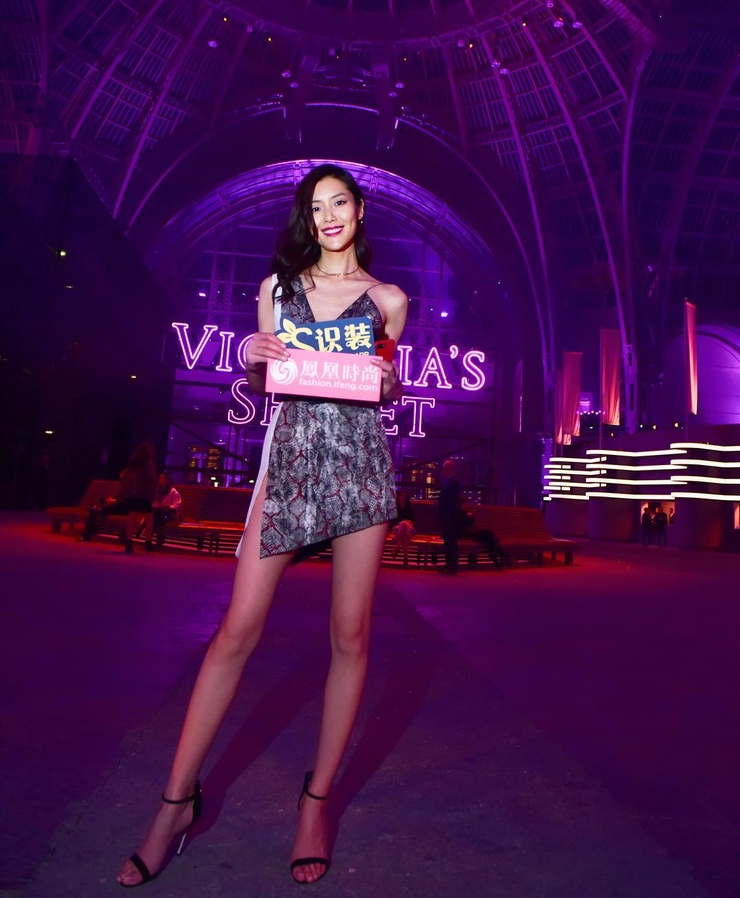 Liu Wen