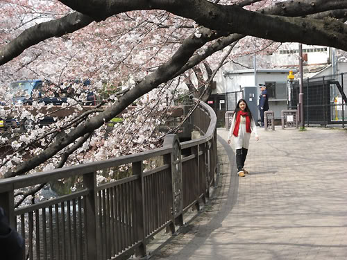 Yû Aoi