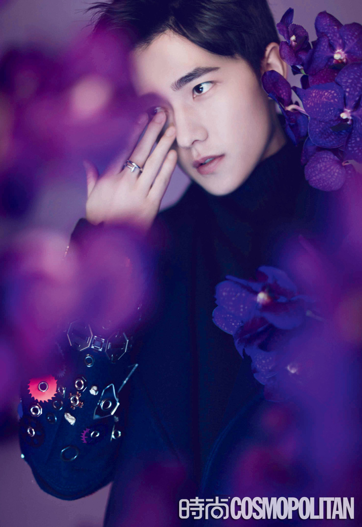 Yang Yang