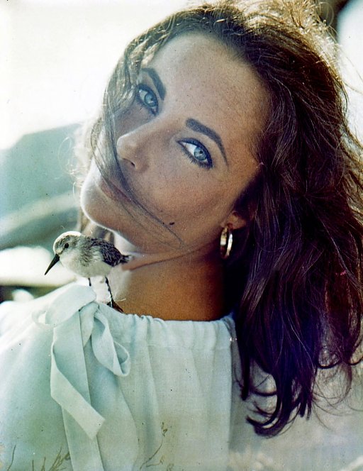Elizabeth Taylor Elizabeth Taylor
