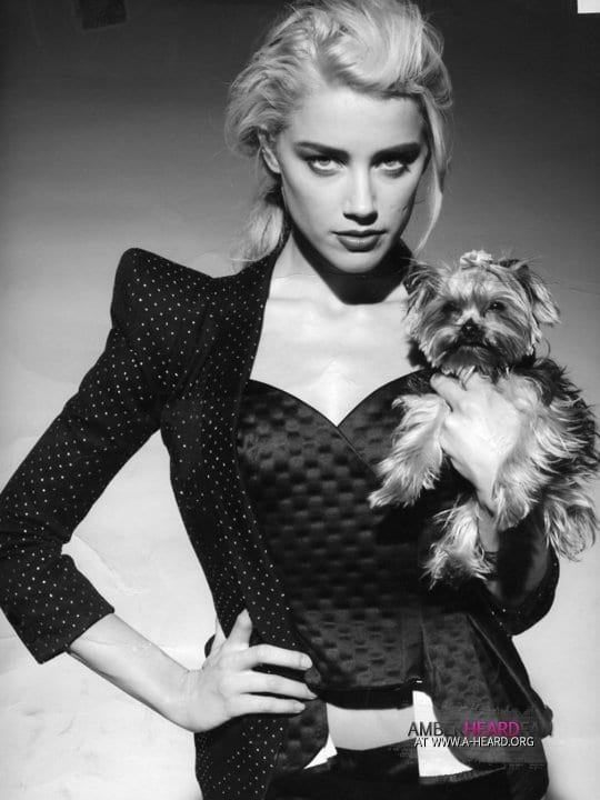 Amber Heard Amber Heard