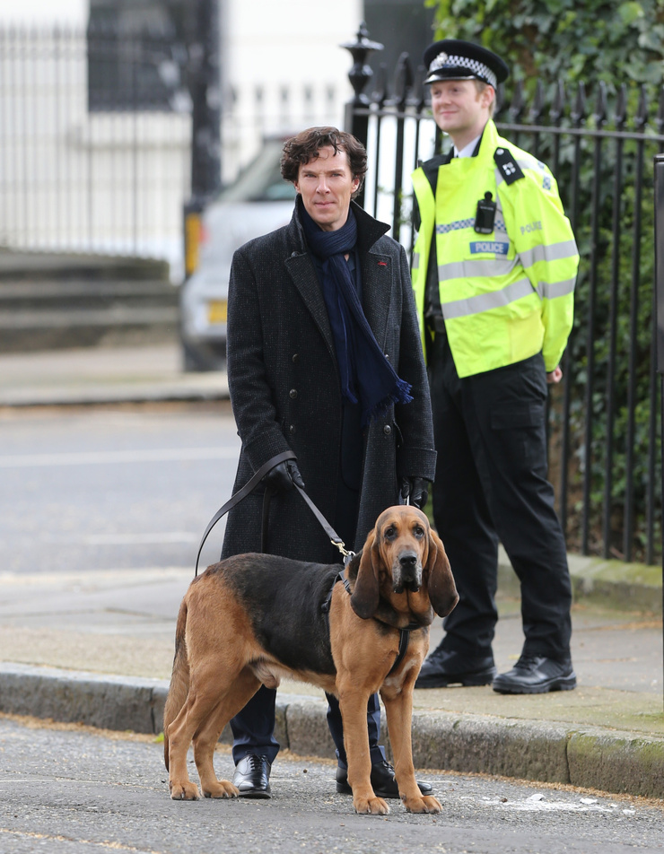 Sherlock