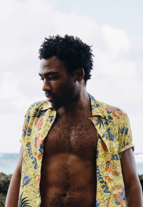 Donald Glover Donald Glover