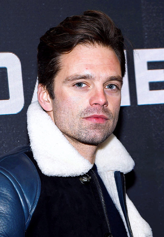 Sebastian Stan