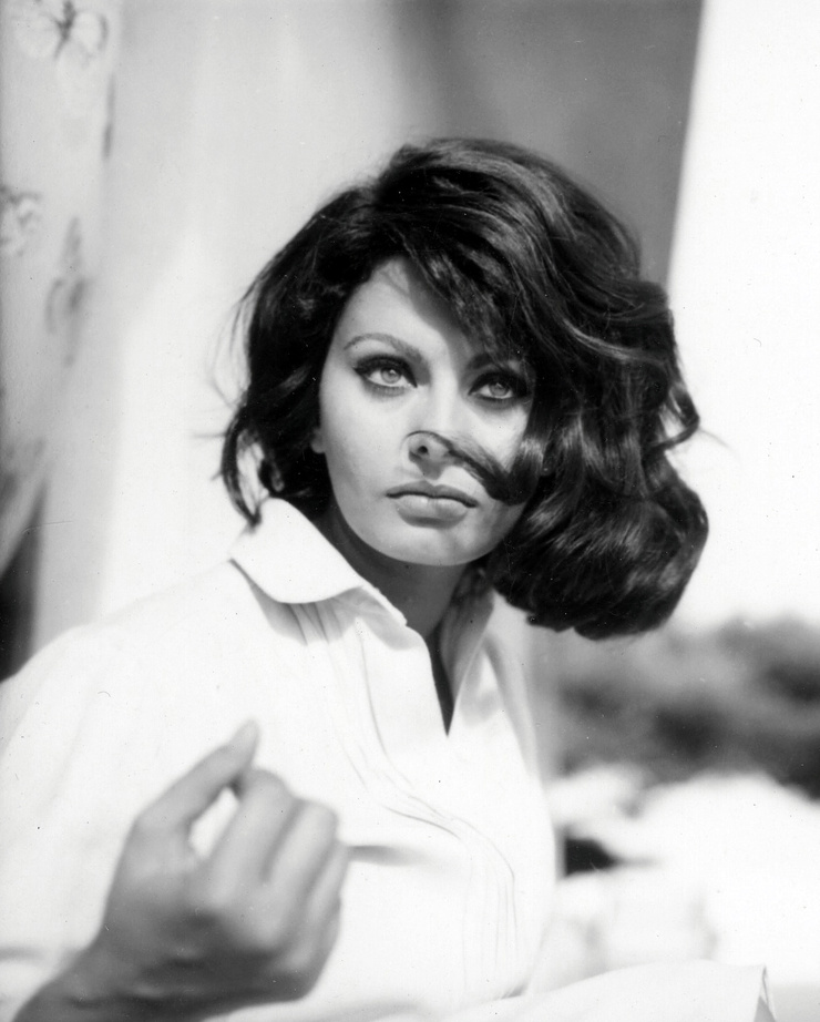 Sophia Loren Sophia Loren