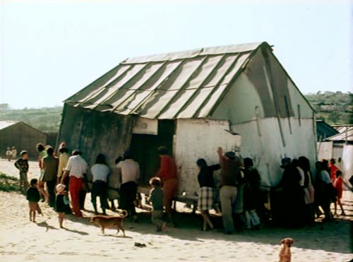 Continuar a Viver ou Os Índios da Meia-Praia