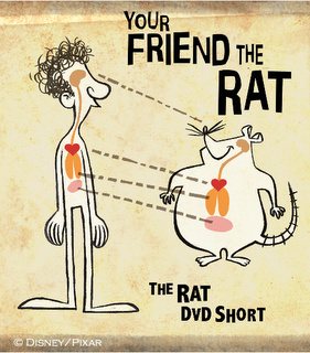 Your Friend the Rat