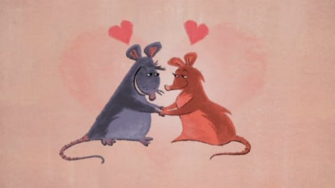 Your Friend the Rat