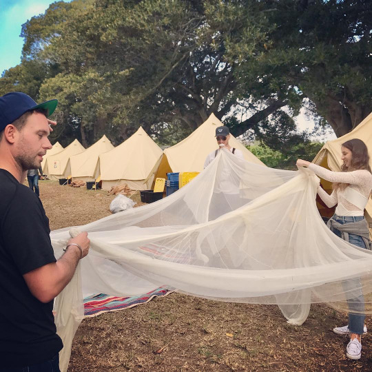 Troian Bellisario
