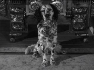 The Egg and I (1947)
