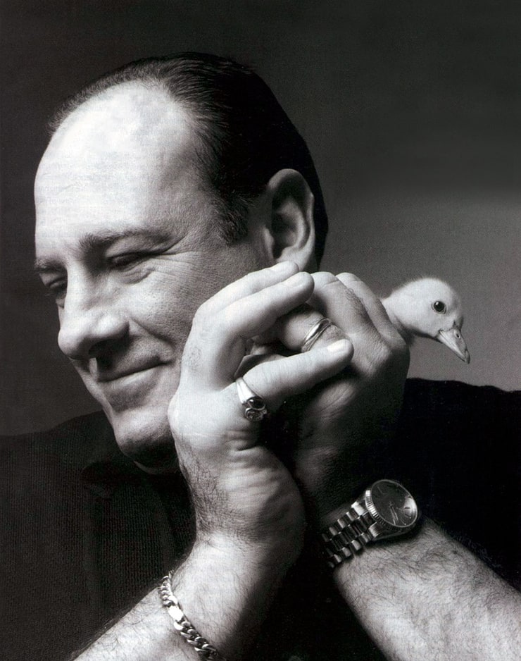 James Gandolfini