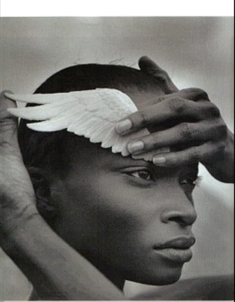 Debra Shaw Debra Shaw