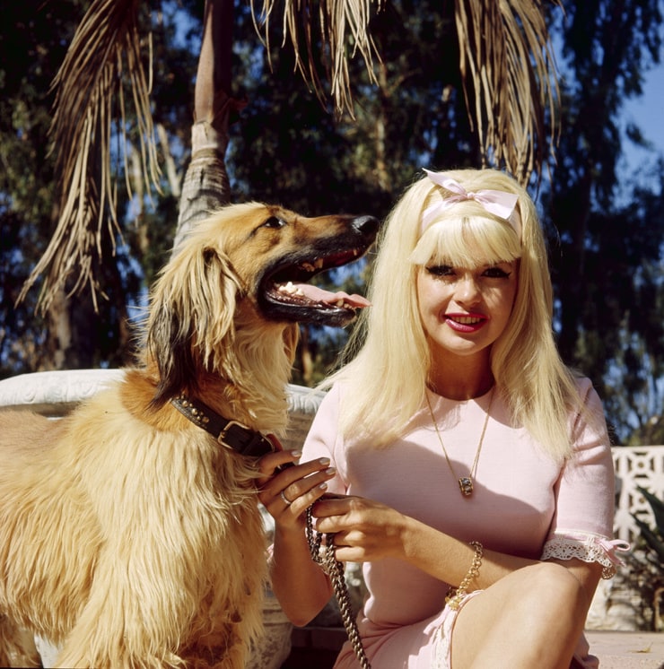 Jayne Mansfield