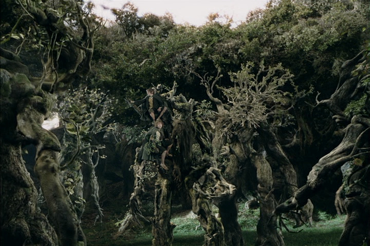 The Lord of the Rings: The Two Towers The Lord of the Rings: The Two Towers