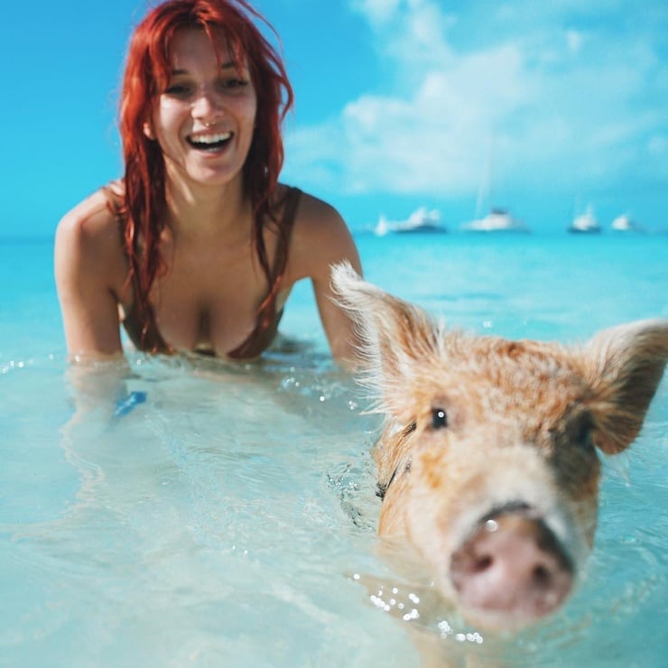 Dani Thorne Dani Thorne