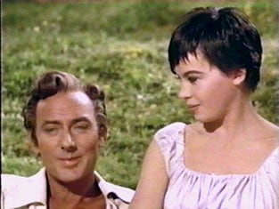The Glass Slipper (1955) The Glass Slipper (1955)