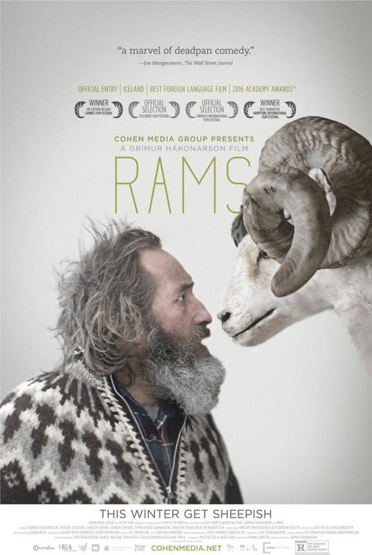 Rams