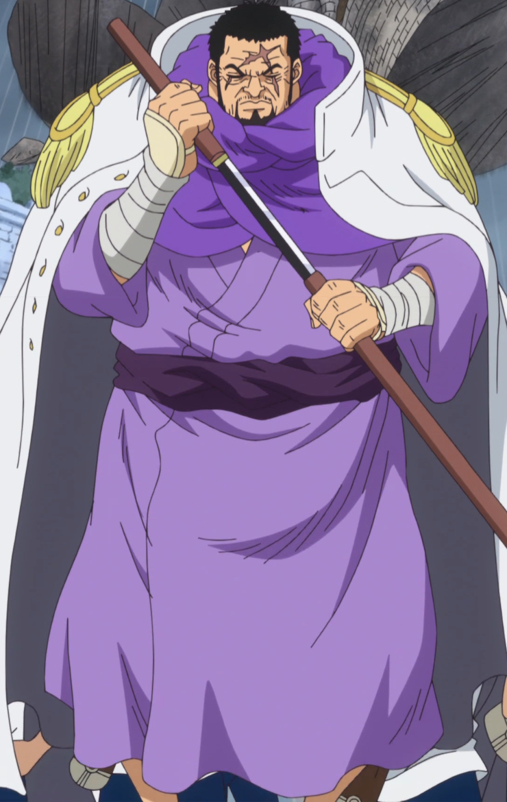 Issho Fujitora