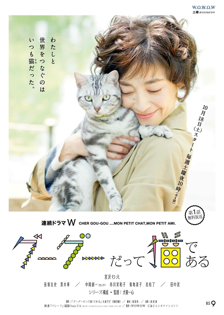 Gou Gou The Cat Gou Gou The Cat