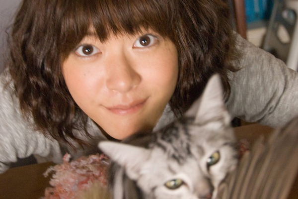 Gou Gou The Cat Gou Gou The Cat