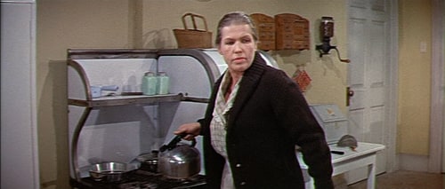 The Fly