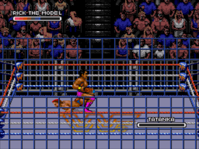 WWF Rage in the Cage