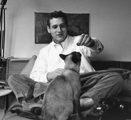 Paul Newman