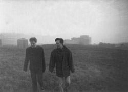 The Field Mice The Field Mice