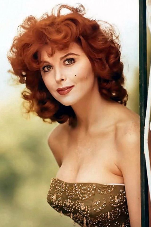 Tina Louise Tina Louise