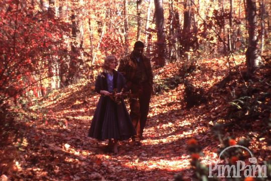 Far from Heaven (2002)