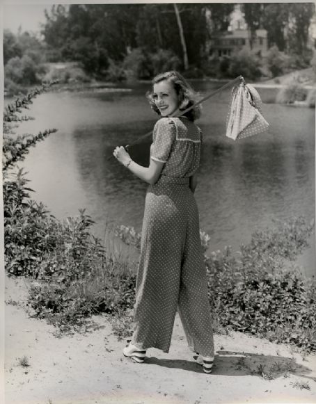 Virginia Grey Virginia Grey