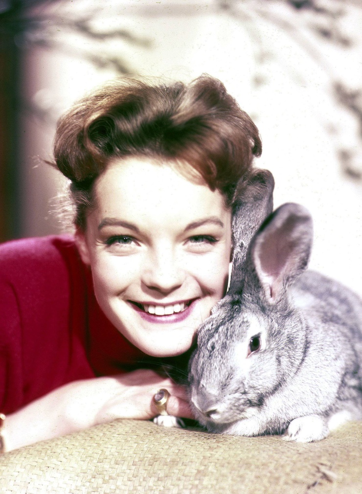 Romy Schneider Romy Schneider