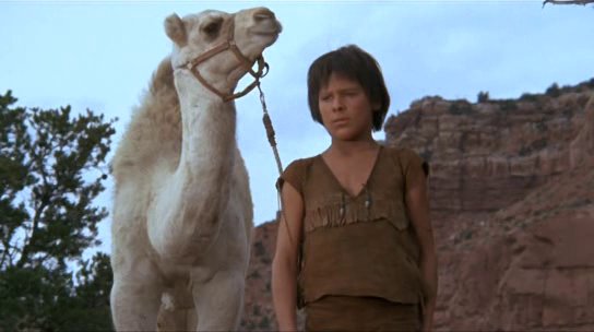 One Little Indian (1973)