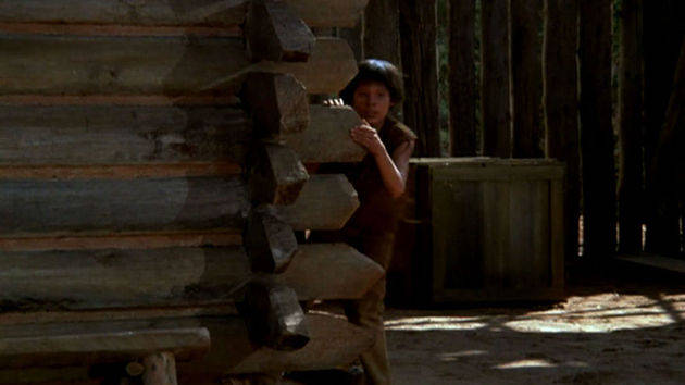 One Little Indian (1973)