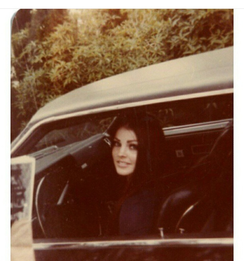 Priscilla Presley