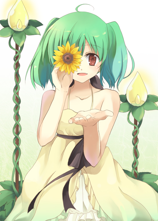 Ranka Lee