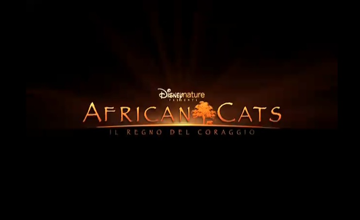 African Cats