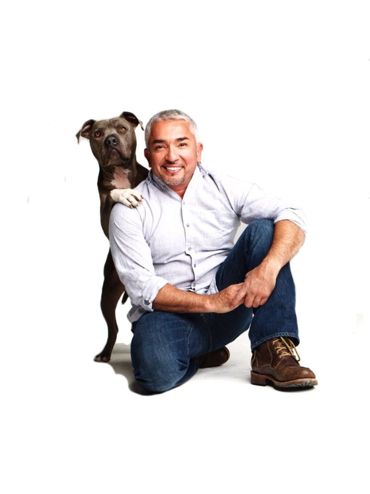 Cesar Millan