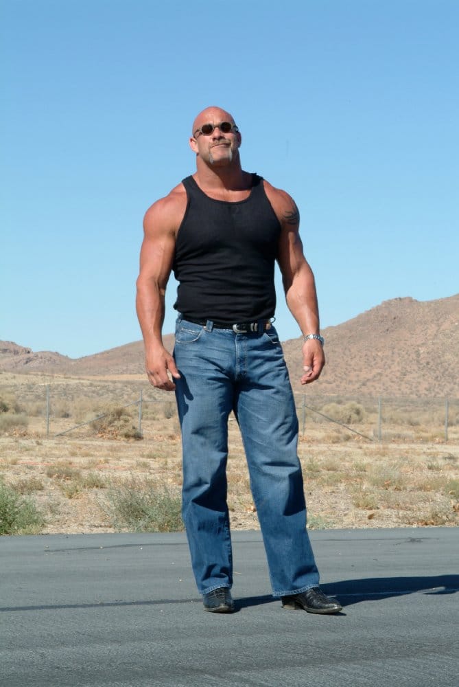 Bill Goldberg