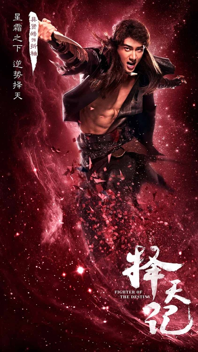 Fighter of the Destiny