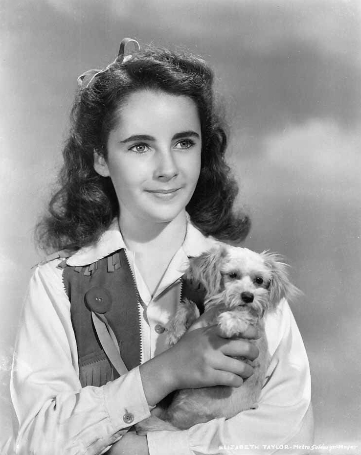 Elizabeth Taylor Elizabeth Taylor