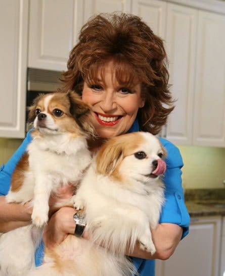 Joy Behar