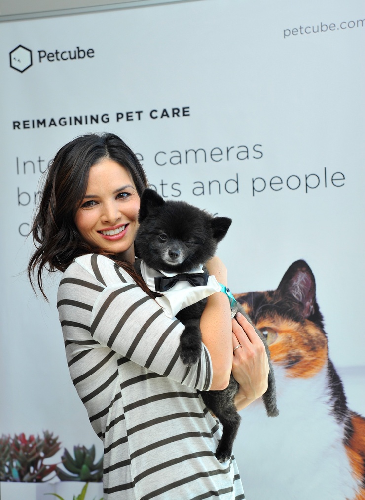 Katrina Law Katrina Law