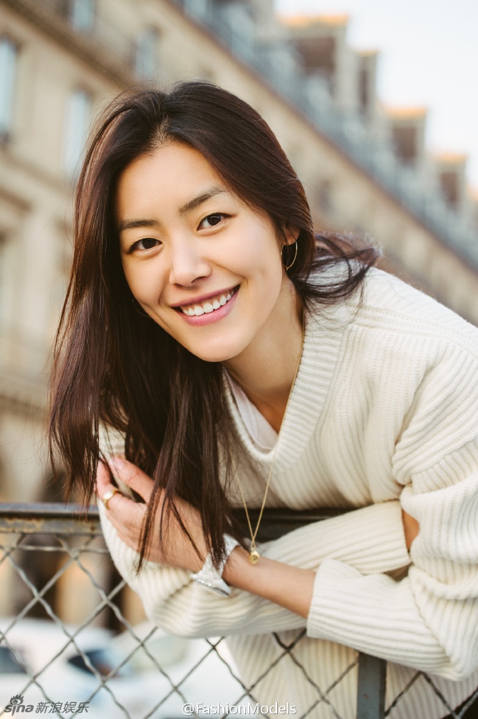 Liu Wen