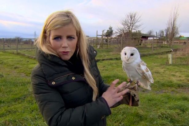 Ellie Harrison